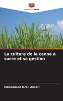 culture de la canne à sucre et sa gestion