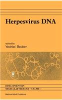Herpesvirus DNA