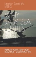 Why Baby Sea Turtles Run