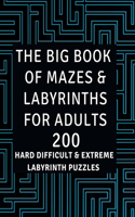 Big Book of Mazes & Labyrinths for Adults
