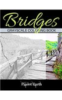 Bridges Grayscale Coloring Book: Beautiful Bridges in the Forest. Grayscale Coloring Book for Adults.