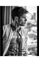 Joey: Libri 1&2: M/M(3 Finalemente Libero)
