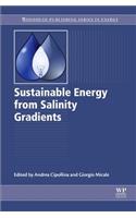 Sustainable Energy from Salinity Gradients