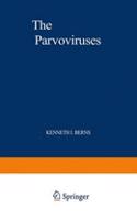 Parvoviruses