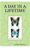Day in a Lifetime