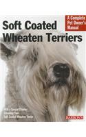 Soft Coated Wheaten Terriers