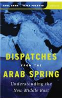 Dispatches from the Arab Spring