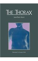 The Thorax