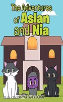 Adventures of Aslan and Nia