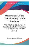 Observations Of The Natural History Of The Swallows