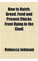 How to Hatch, Brood, Feed and Prevent Chicks from Dying in the Shell