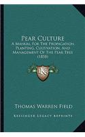 Pear Culture