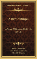 Boy Of Bruges: A Story Of Belgian Child Life (1918)