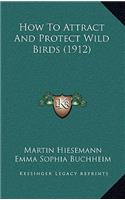 How To Attract And Protect Wild Birds (1912)