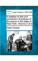 treatise on the civil jurisdiction of justices of the peace in the state of New-York. Volume 2 of 2