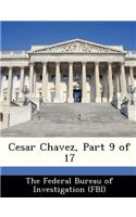 Cesar Chavez, Part 9 of 17