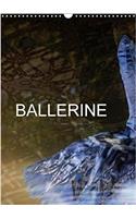 Ballerine 2018