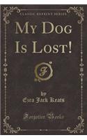 My Dog Is Lost! (Classic Reprint)