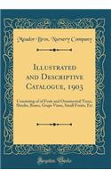 Illustrated and Descriptive Catalogue, 1903: Consisting of of Fruit and Ornamental Trees, Shrubs, Roses, Grape Vines, Small Fruits, Etc (Classic Reprint)