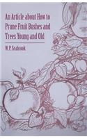 Article about How to Prune Fruit Bushes and Trees Young and Old