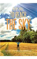 In My Will to Reach the Sky