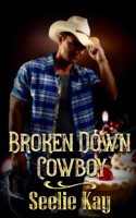 Broken Down Cowboy