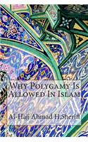 Why Polygamy Is Allowed In Islam