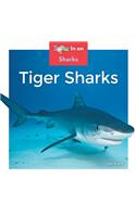 Tiger Sharks: (Sharks)
