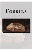 Fossils Notebook