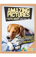 Amazing Pictures and Facts About Beagles : The Most Amazing Fact Book for Kids About Beagles (Kids U)