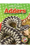Adders