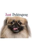 Just Pekingese