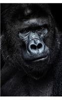 Save The Gorilla 2020 Weekly Monthly Planner