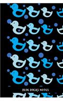 Blue Ducks Notes