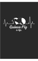Guinea Pig is life