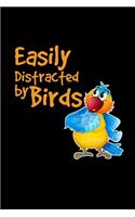 Easily distracted by birds
