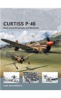 Curtiss P-40