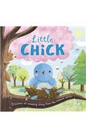 Nature Stories: Little Chick