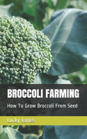 Broccoli Farming: How To Grow Broccoli From Seed