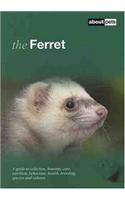 Ferret