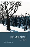 Ice Mountain