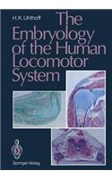 The Embryology of the Human Locomotor System