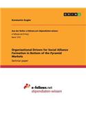 Organizational Drivers for Social Alliance Formation in Bottom of the Pyramid Markets