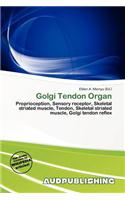 Golgi Tendon Organ