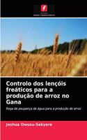 Controlo dos lençóis freáticos para a produção de arroz no Gana