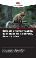 Biologie et identification du biotype de l'aleurode, Bemisia tabaci