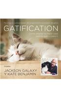 Gatification: Cómo Diseñar La Mejor Casa Para Tu Gato Y Para Ti / Catification