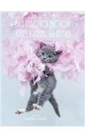 The Big Photo Book of Cats, Kittens, and Kitties (Hardcover)