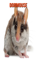 Dormouse