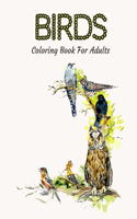 Birds Coloring Book For Adults